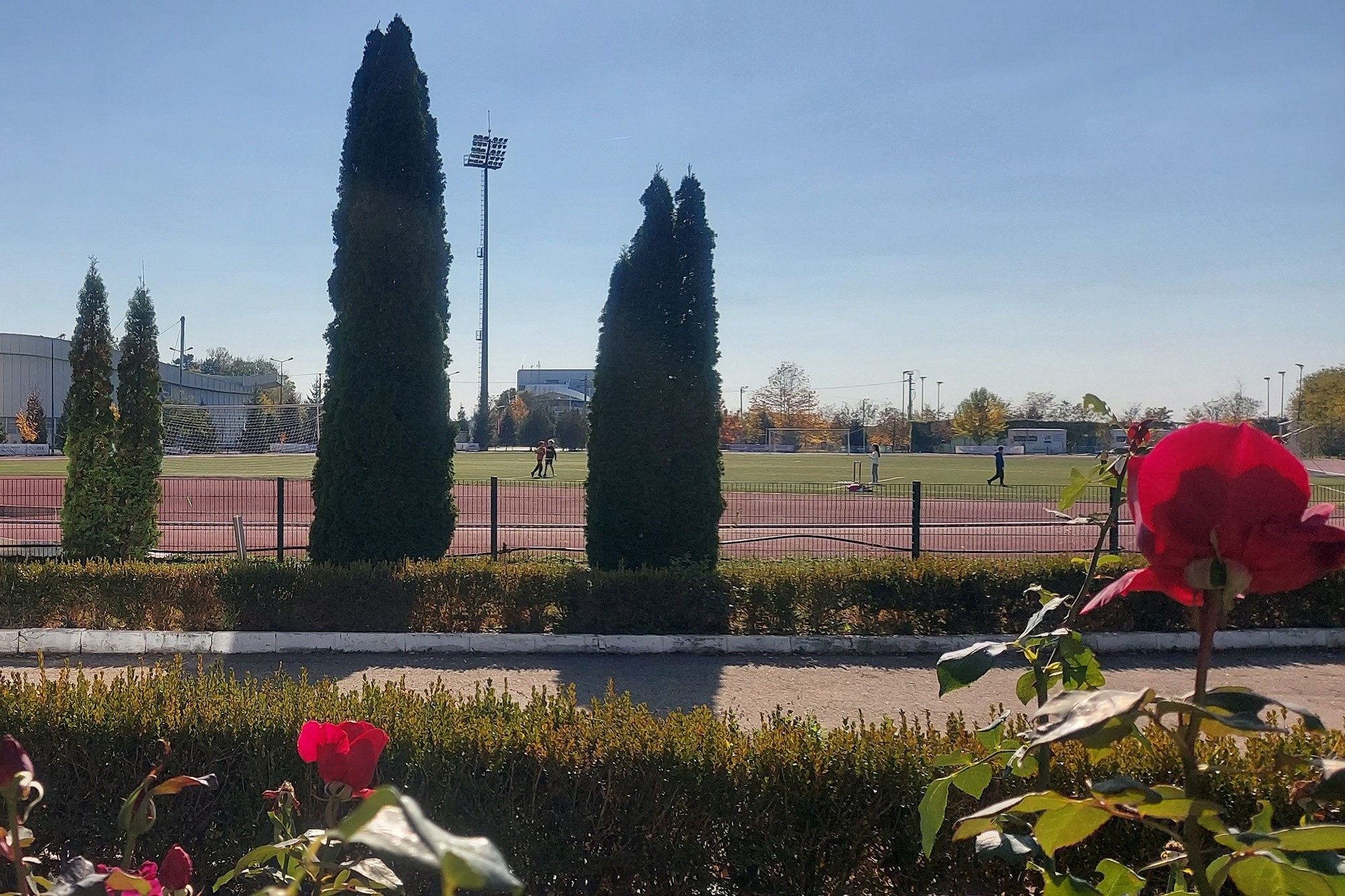 Stadiontrandafiri 2000