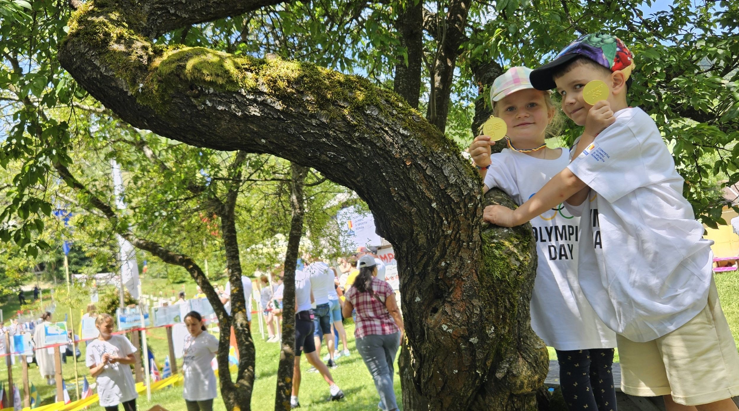 Aor Sirnea 2025 Copii Medalie