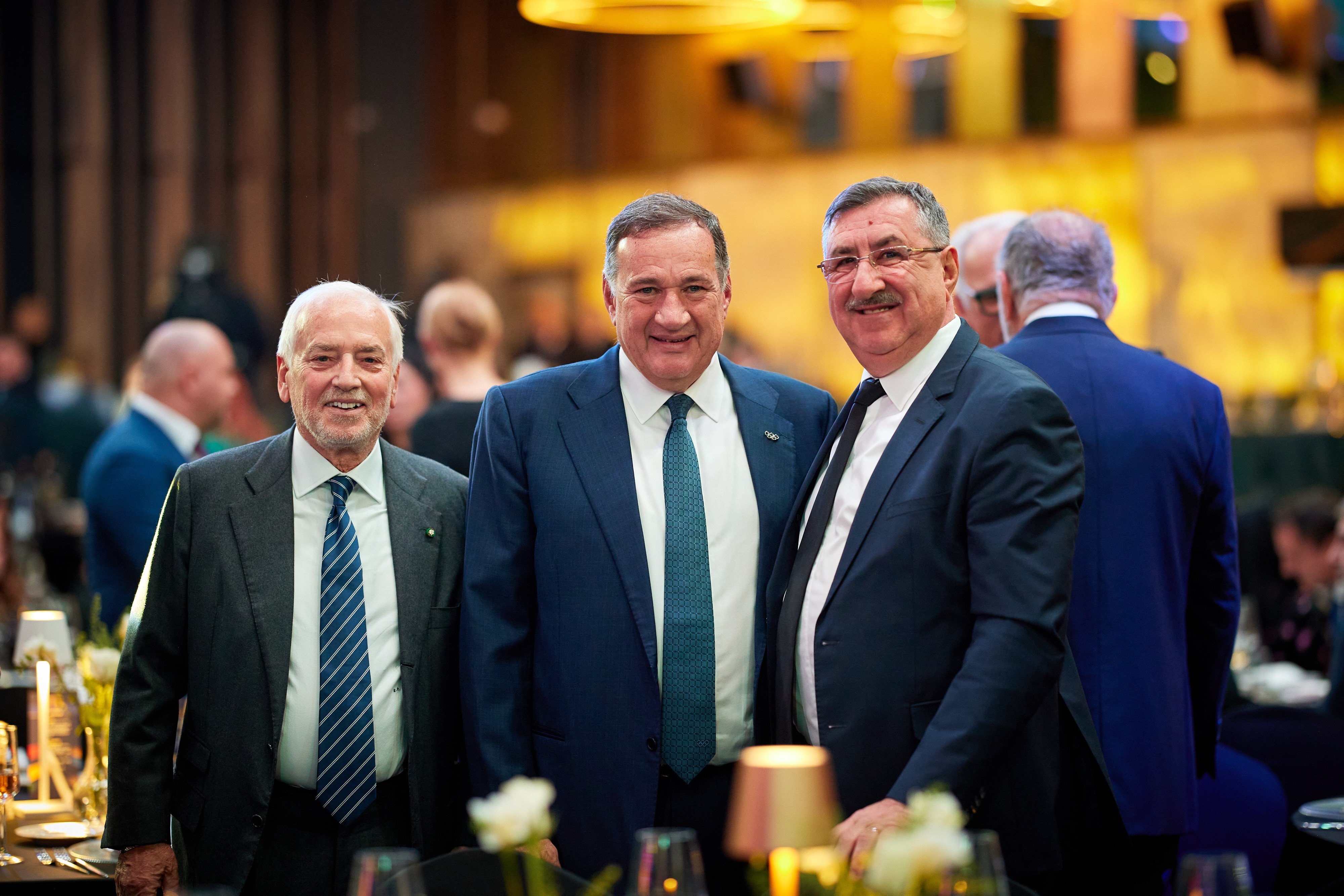 Cosr 110 Ani Boro Paniotzzi Capralos