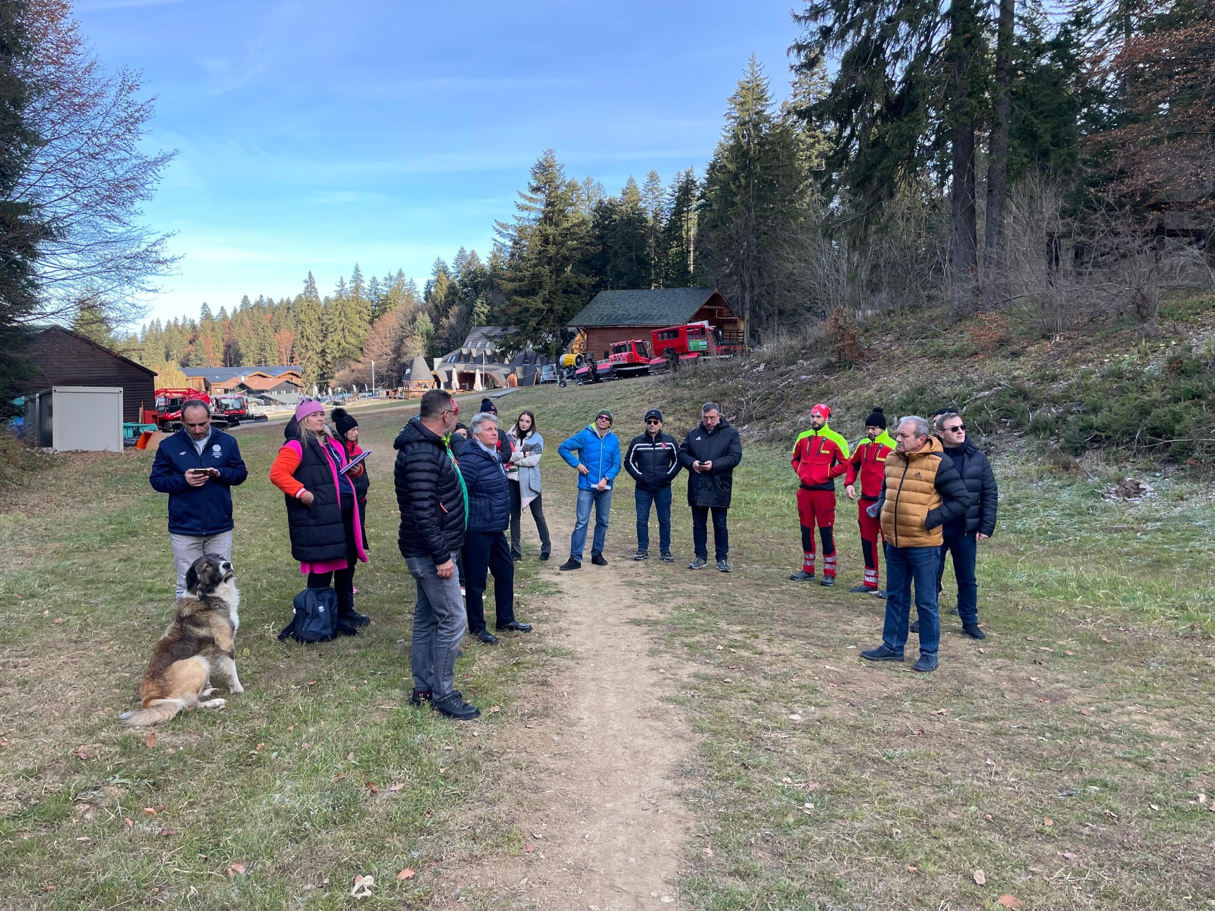 Fote Bv 2027 Poiana5