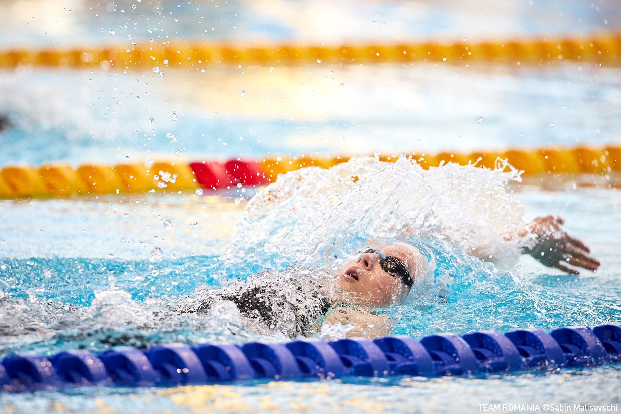 Inot Fote Skopje 2025 3