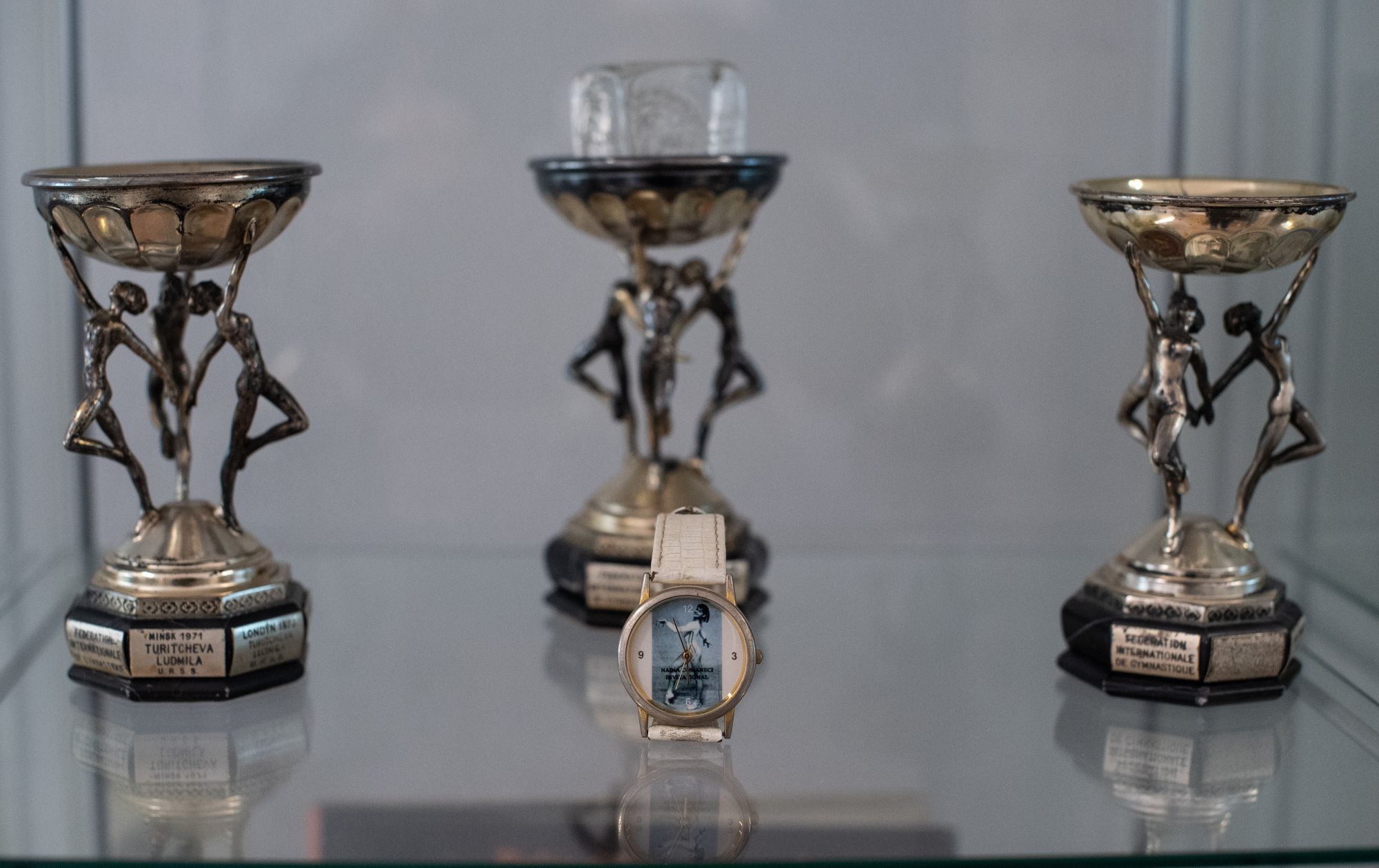 https://www.cosr.ro/img/d9255605-7406-4351-8983-9370d6cc49f9/trofee-nadia-mici.jpg?fm=jpg&q=80&fit=max&crop=2000%2C1259%2C0%2C0