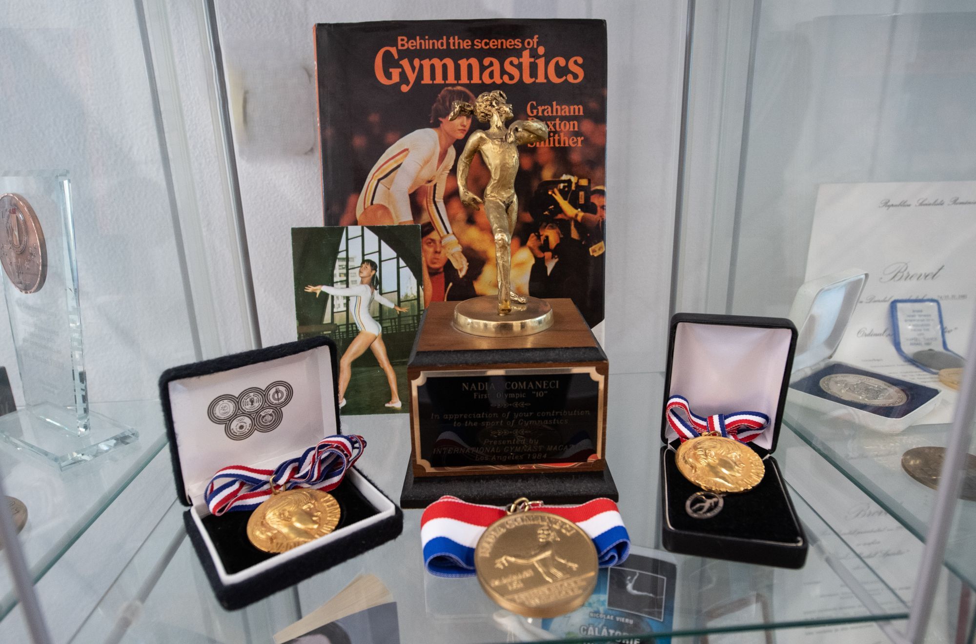 https://www.cosr.ro/img/d9255605-7406-4351-8983-9370d6cc49f9/trofee-nadia-vitrina-onesti.jpg?fm=jpg&q=80&fit=max&crop=2000%2C1321%2C0%2C0
